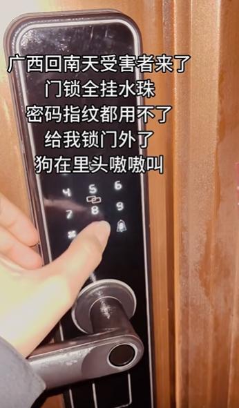 回南天最大的受害者出现了
