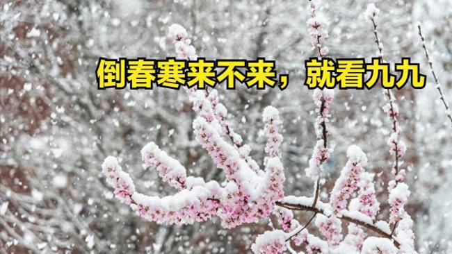 倒春寒又要来了吗