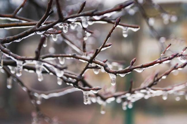 倒春寒又要来了吗 九九天气成关键